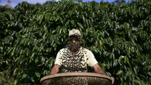 Five products to be hit by Trump's incoming tariffs