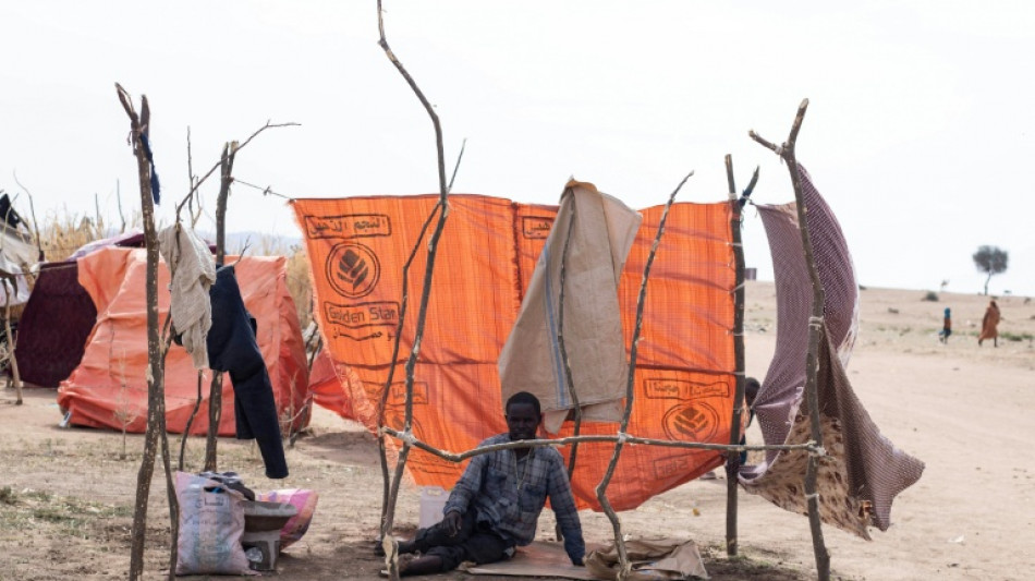 El Consejo de Derechos Humanos de la ONU ordena investigar los abusos en El Fasher, Sudán