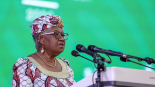 Global trading system hit by 'worst disruptions in the past 80 years': WTO chief