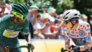 La 18&ordf; etapa del Tour de Francia, un espect&aacute;culo para la vista