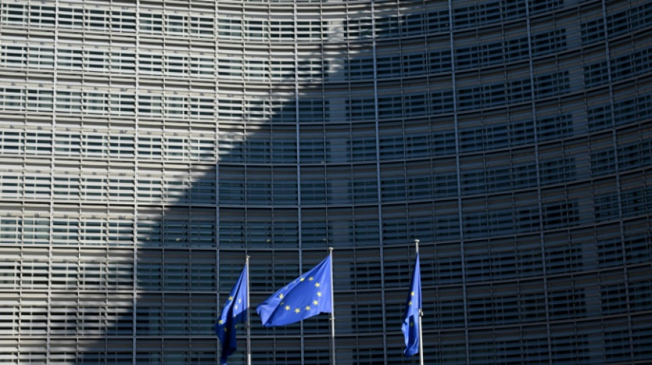 EU funding of NGOs 'too opaque', auditors find amid political storm