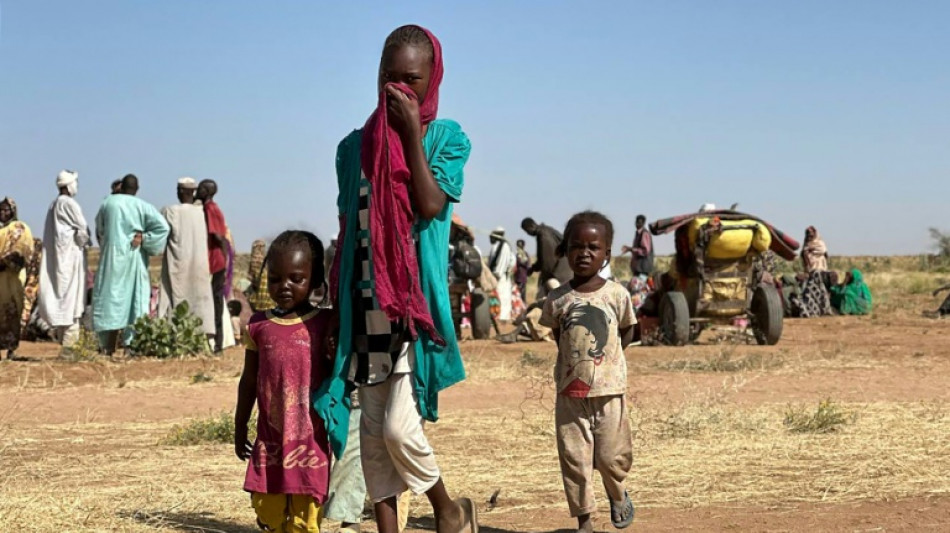Al menos 14 muertos en un bombardeo en la regi&oacute;n sudanesa de Darfur, seg&uacute;n rescatistas