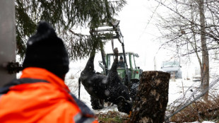 Trois cas de fi&egrave;vre aphteuse en Allemagne, les premiers dans l'UE depuis 2011