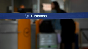 Una aver&iacute;a inform&aacute;tica perturba el tr&aacute;fico a&eacute;reo en M&uacute;nich y Fr&aacute;ncfort
