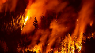 Smoke from 2023 Canada fires linked to thousands of deaths: study