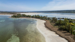 Sequía récord y "preocupante" en Alemania