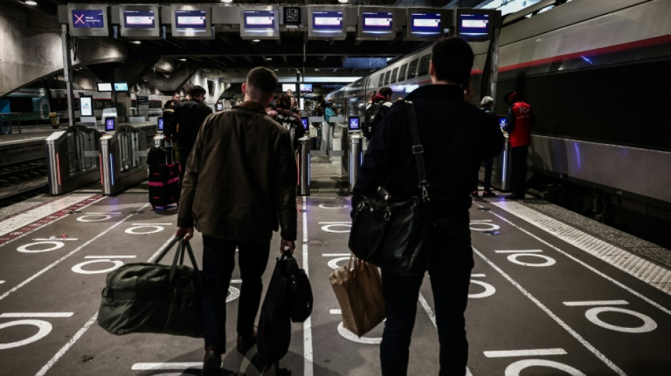 ¿Su gato está debajo del tren? Francia da 20 minutos para recuperarlo