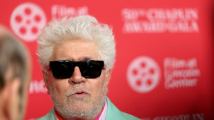 Estrelas do cinema, de Richard Gere a Almodóvar, denunciam "silêncio" diante do "genocídio" em Gaza