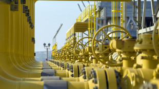 Proxygas, da Nordafrica e Azerbaigian 50% del gas, da Gnl oltre 30%