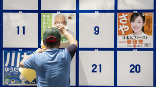 La coalici&oacute;n de gobierno de Jap&oacute;n, en dificultades ante las elecciones al Senado