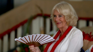 La reina Camila suspende sus actos programados esta semana debido a una infecci&oacute;n pulmonar