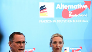 Nach Hochstufung: AfD reicht Klage gegen Verfassungsschutz ein