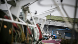 Renouveler la flotte: l'appel des p&ecirc;cheurs &agrave; "lever les obstacles"