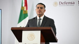 Capturan al l&iacute;der del Tren de Aragua en M&eacute;xico