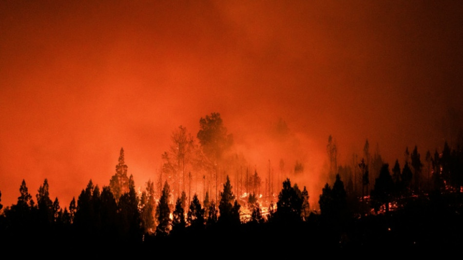 Les feux de for&ecirc;t, la "nouvelle norme" en Patagonie, selon un expert