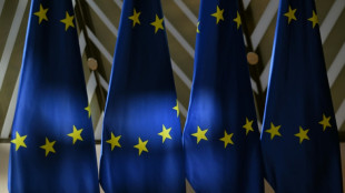 La UE desvela su plan de presupuesto y abre un complejo per&iacute;odo de negociaciones