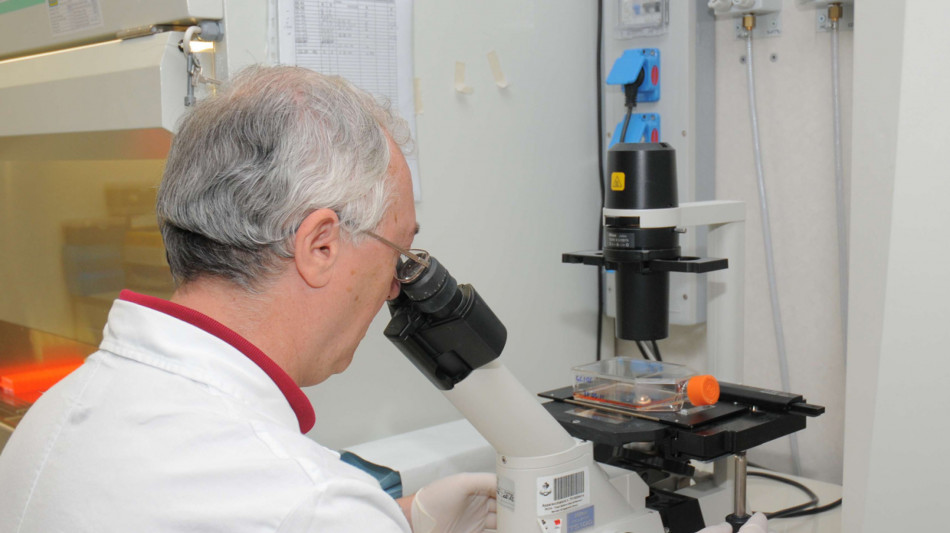 La chance di mangiare di pi&ugrave; ha fatto unire le prime cellule