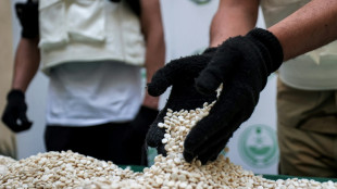 Drogenfund in Sachsen-Anhalt gr&ouml;&szlig;er als angenommen: 360 Kilogramm Captagon