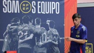 Espa&ntilde;a "no ha venido a Alemania a perder", avisa Pedri