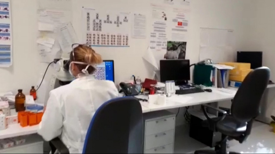 Sulle ossa di un gladiatore la prima prova del morso di un leone