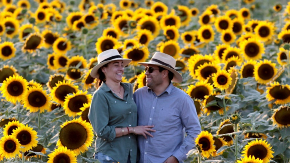 Finl&acirc;ndia segue na lideran&ccedil;a do ranking de pa&iacute;ses mais felizes do mundo