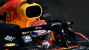 Verstappen es el m&aacute;s r&aacute;pido en los primeros libres del GP de Italia de F1