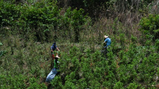 Are US strikes hurting Latin America's drug trade?