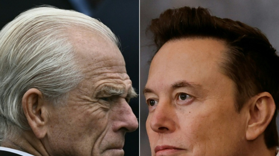 Trump advisor Navarro looks to cool spat with Musk