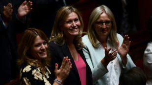 La mayor&iacute;a simple de Macron en Francia se fija en 250 diputados