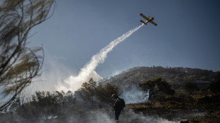 Greece on high alert as heat and wind fuel fire outbreaks
