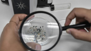 How to assess microplastics in our bodies? Scientists have a plan