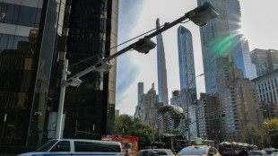 Nova York instalar&aacute; ped&aacute;gio em Manhattan antes da posse de Trump