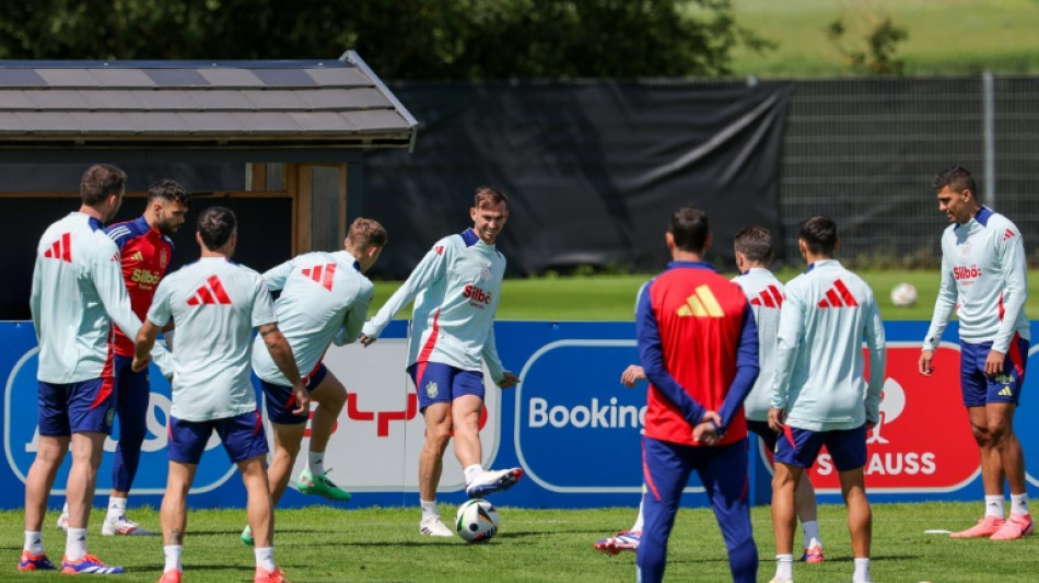 Adaptaci&oacute;n y confianza, pilares de la 'Roja' para la Eurocopa