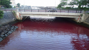 Japon: un lac rouge sang pr&egrave;s d'une brasserie s&egrave;me l'&eacute;moi