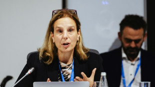 Les villes sont "l'épicentre" de la lutte contre la chaleur, dit une consultante de l'ONU