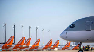 Una huelga de personal paraliza el aeropuerto de Berl&iacute;n