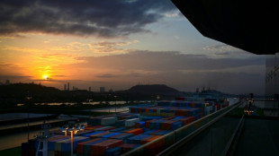 La empresa hongkonesa Hutchison vender&aacute; puertos de Panam&aacute; a un consorcio estadounidense
