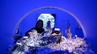 Salvaged shipwreck porcelain gets new life in Malaysia