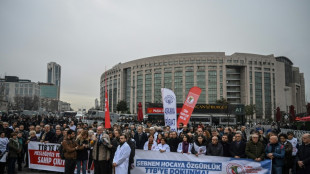 Liberan a la presidenta de la Uni&oacute;n de M&eacute;dicos de Turqu&iacute;a