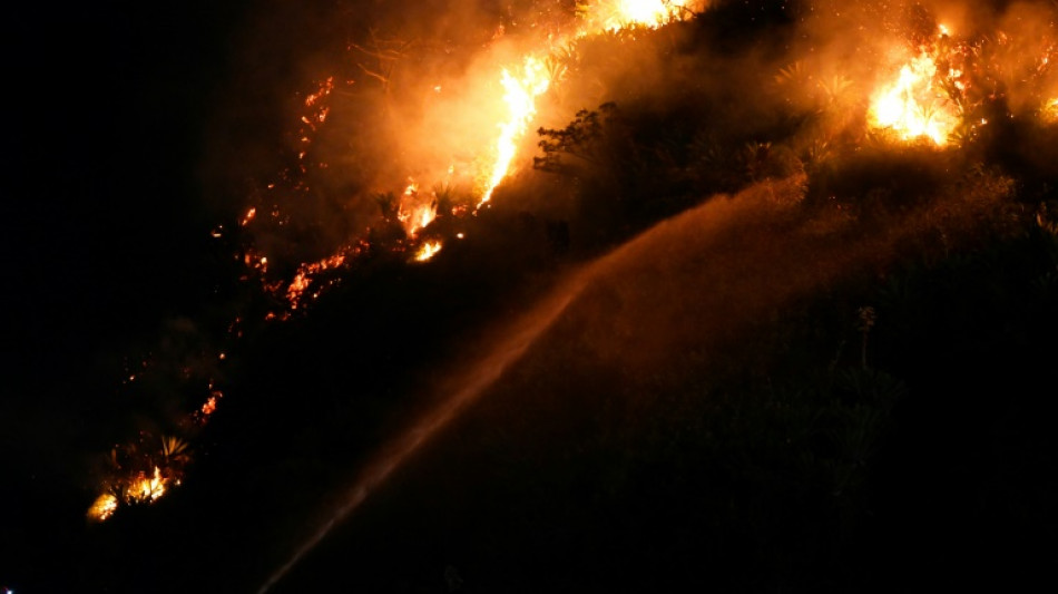 Incendio forestal en el tur&iacute;stico barrio de Copacabana, en Rio