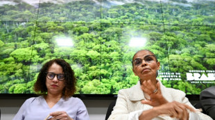 Deforestaci&oacute;n de la Amazon&iacute;a brasile&ntilde;a registra primer aumento en 15 meses