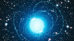 Osservato il risveglio esplosivo di una stella super-magnetica