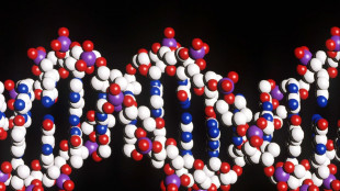 Identikit in 3D dal Dna prelevato sulla scena del crimine