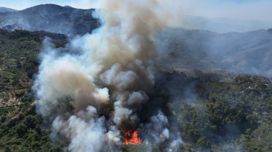 Feux de forêts: la Syrie appelle l'UE à l'aide