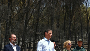 Espa&ntilde;a declarar&aacute; zonas catastr&oacute;ficas las afectadas por los grandes incendios