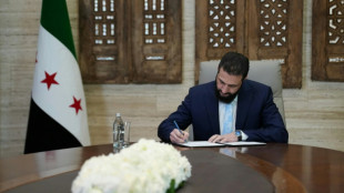 El grupo Estado Isl&aacute;mico llama a sus militantes a combatir al gobierno sirio