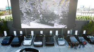 Tesla reports 16% profit drop to $1.2 bn on lower auto sales