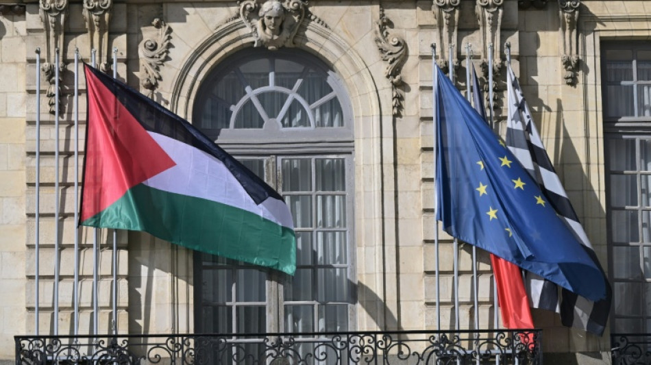 Prefeituras ignoram o governo da Fran&ccedil;a e hasteiam bandeira palestina