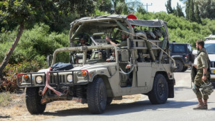 Abatido un palestino que intent&oacute; cruzar a territorio israel&iacute;