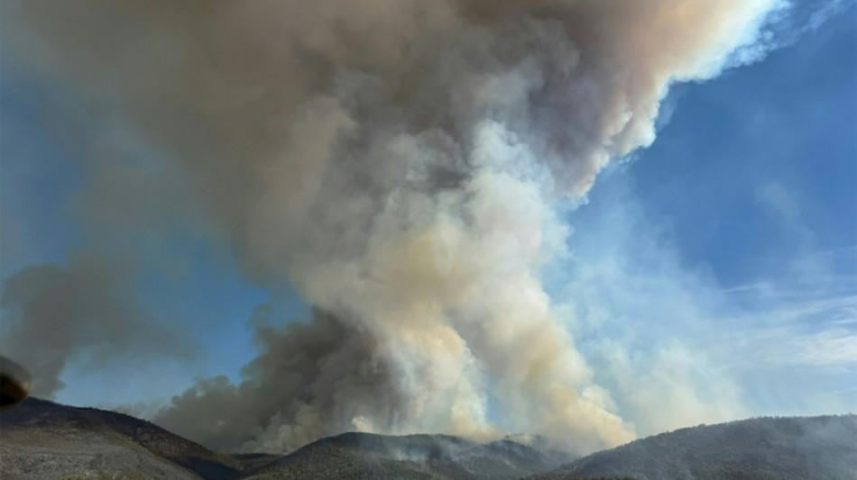 Etat de catastrophe dans le sud-est de l'Australie, en proie aux incendies